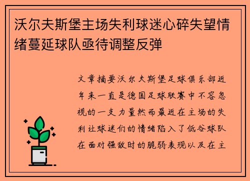沃尔夫斯堡主场失利球迷心碎失望情绪蔓延球队亟待调整反弹