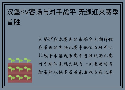 汉堡SV客场与对手战平 无缘迎来赛季首胜